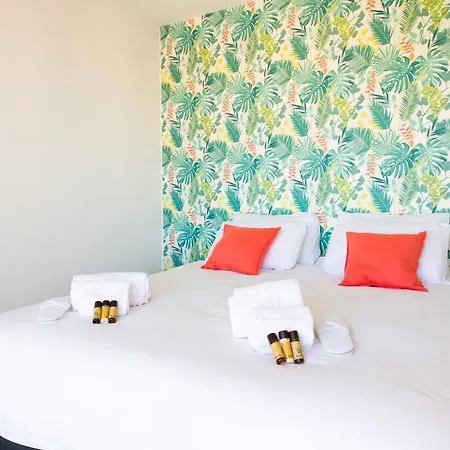 Rooftop View - 2 Bdr 2 Bthr 1 Toil - Clim Terrace Elevator Small Parking Lejlighed